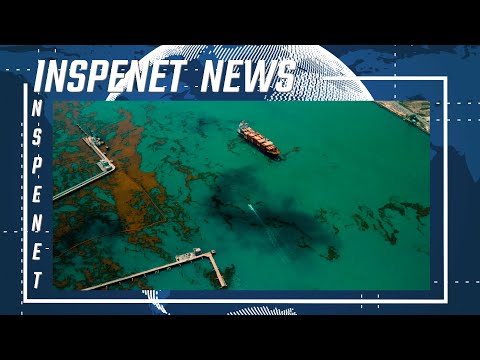 Desarrollan software que predice derrames de petróleo en el mar 🌊