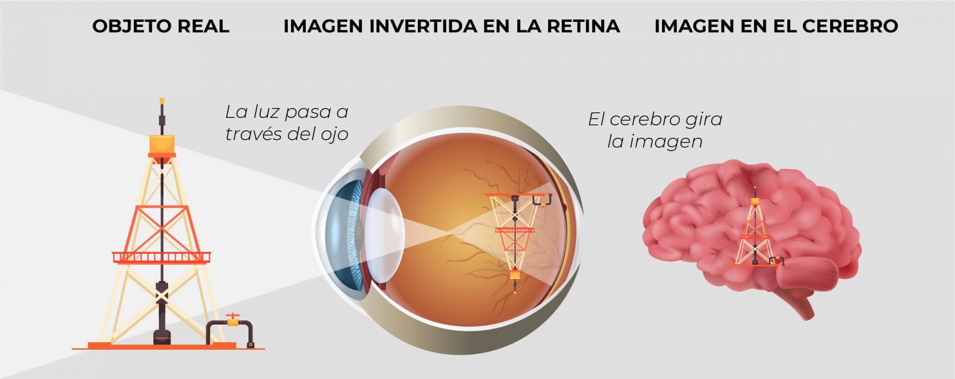 Importancia de la inspección visual para la industria de petróleo & gas