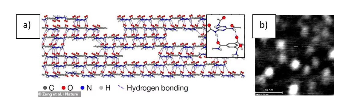  Cross-sectional view of a proposed hydrogen-bonded interlocking layer structure. A close-up of the interlayer hydrogen bonds is shown in the inset. b) High resolution atomic force microscopy image of the 2D polymer film. [on