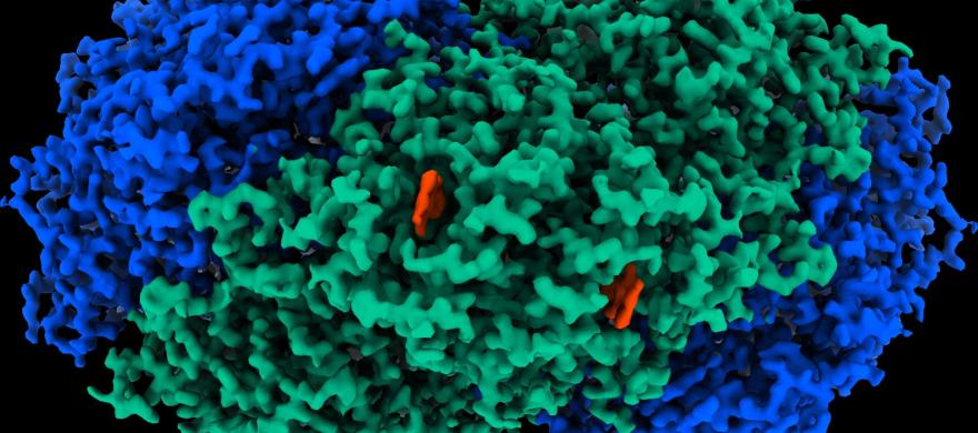 1631 imagen Cientificos encuentran enzima que convierte aire en electricidad 1