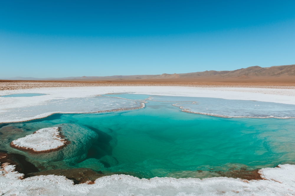 1800 Albemarle Corp litio chile shutterstock interna