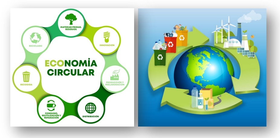 La economía circular y la innovación empresarial entrecruzan para impulsar un futuro sostenible.