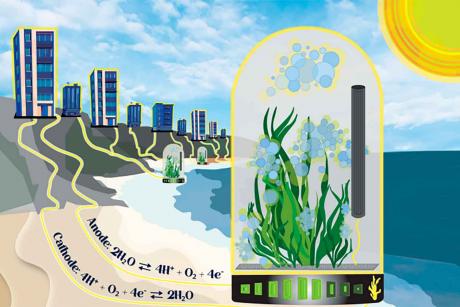 1944 USACH macroalgas generacion electricidad 1