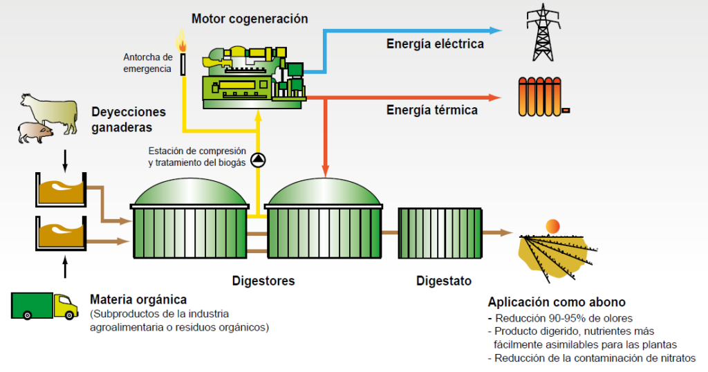 Planta de procesamiento de biogás contra la crisis climática
