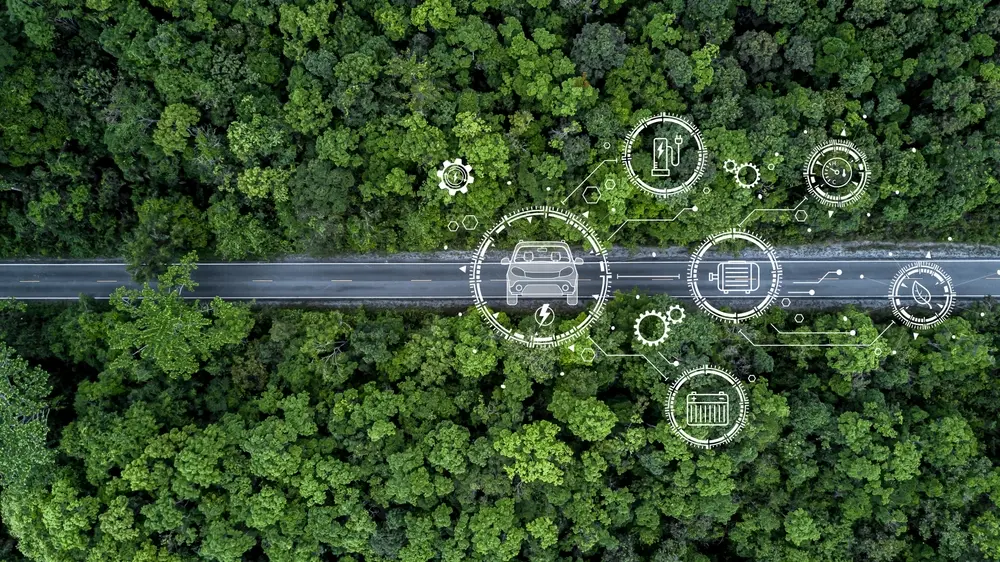 Impacto ambiental de las energías alternativas. 