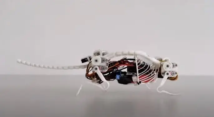 desarrollan a NeRmo el ratón robot