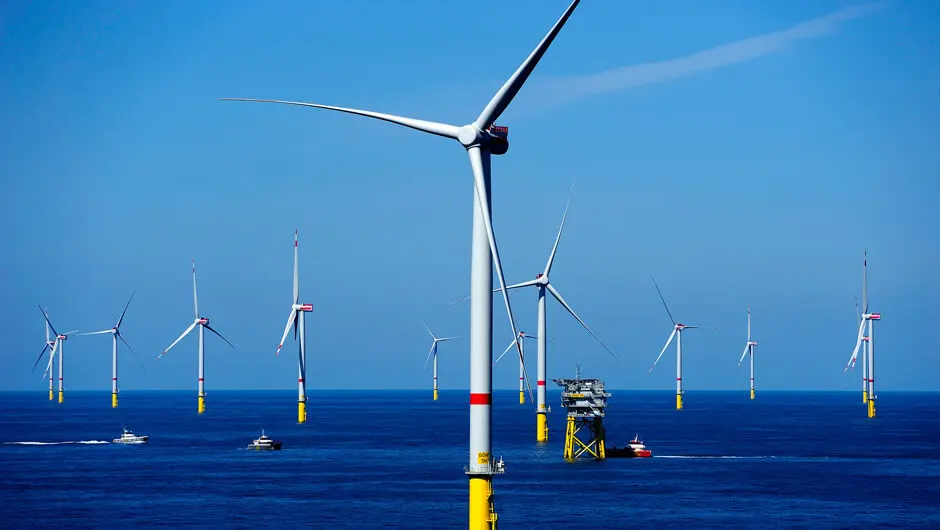 Environmental impact of offshore wind energy