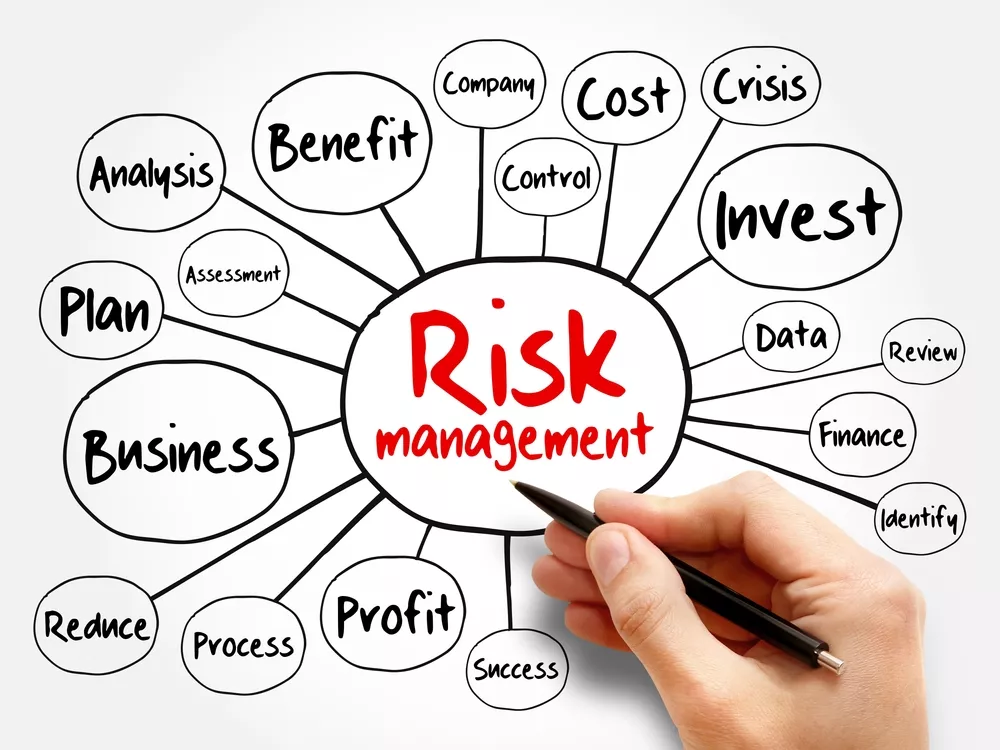 Representation of financial risk analysis in projects
