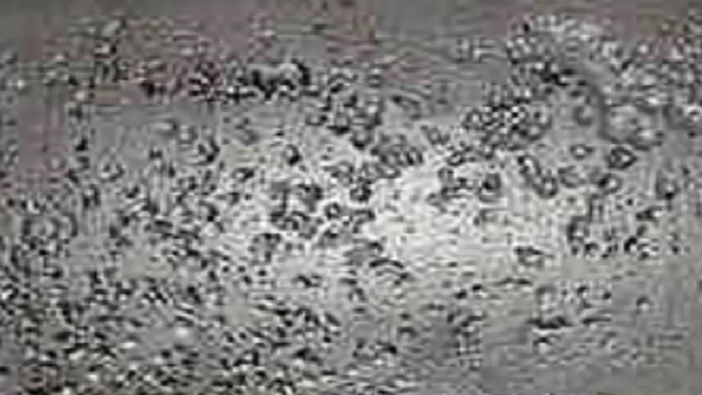 Photomicrography of pitting corrosion on steel