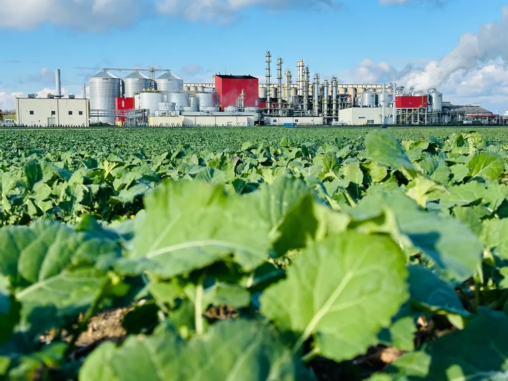 Biofuel distribution in Poland