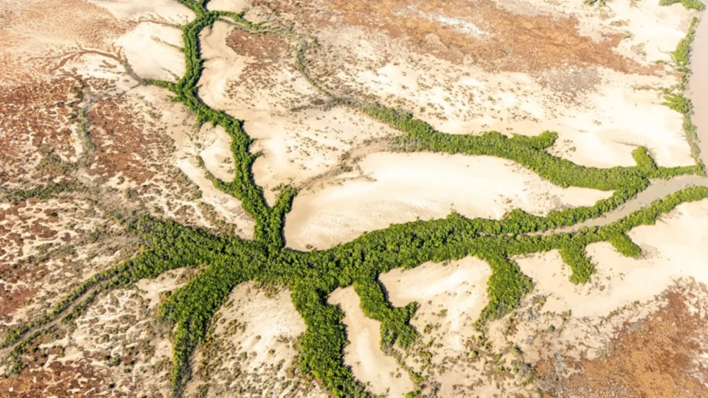 Vista aérea del parque nacional de Kakadu donde queda prohibida la extracción de uranio
