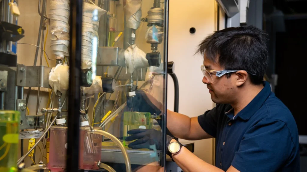 WSU Scientist