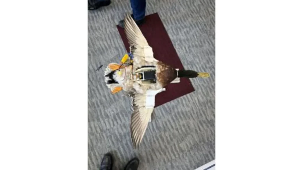 Drone for environmental monitoring