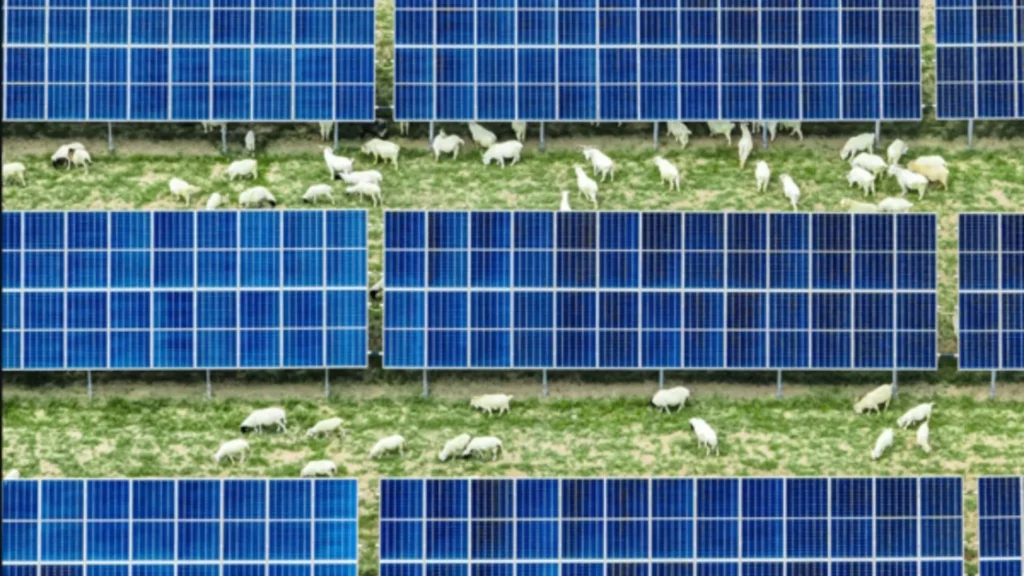 La planta fotovoltaica mas grande de China