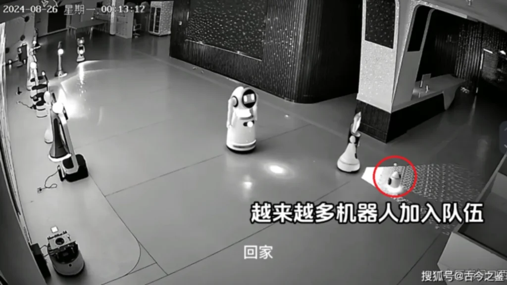 12 robots kidnapped by Erbai
