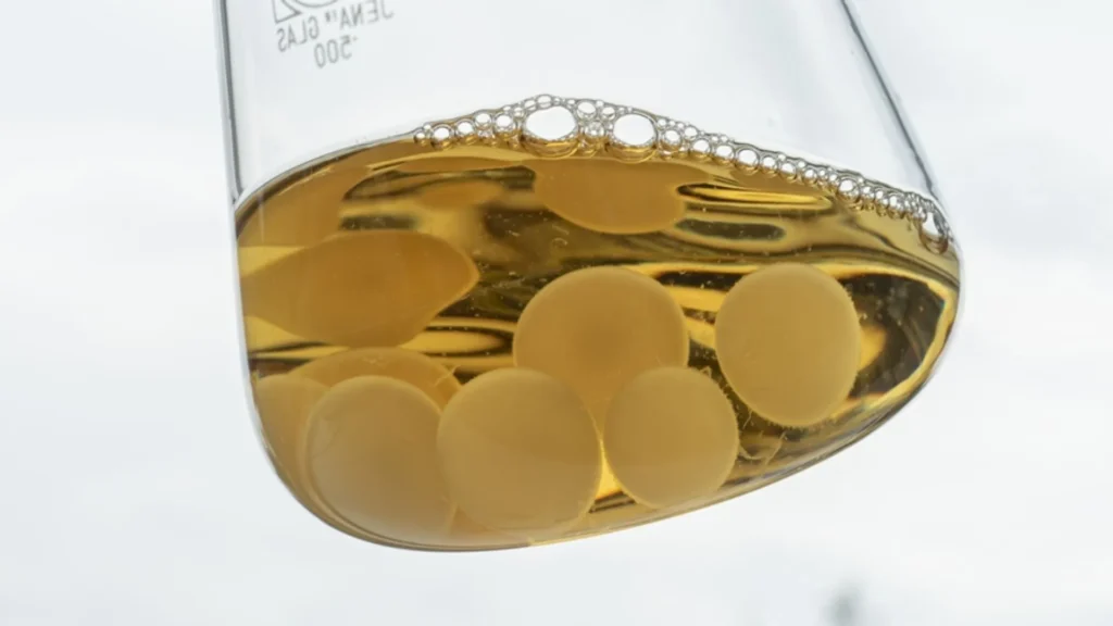 Yeast and rot fungus used for biobattery