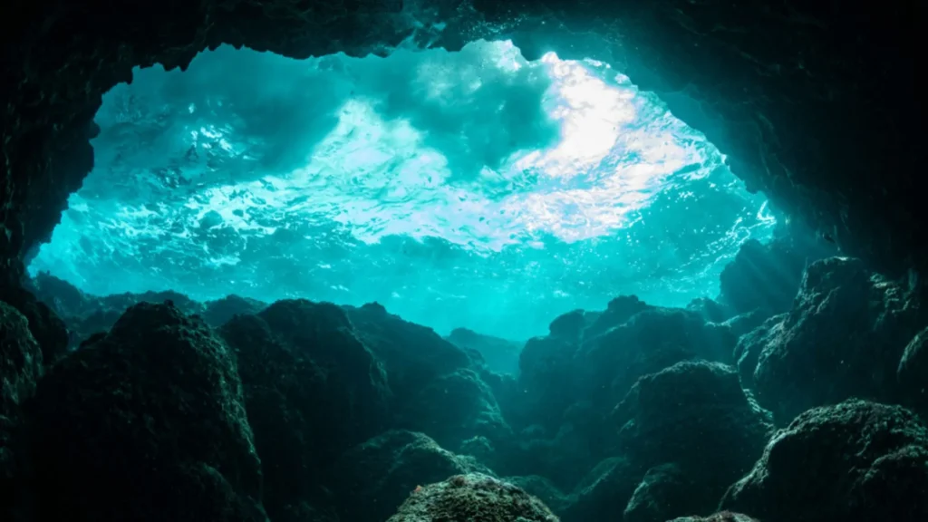 Fondo marino donde se genera el oxígeno oscuro