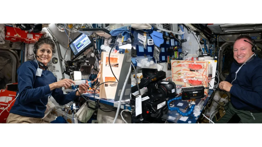 Astronautas Butch Wilmore y Suni Williams