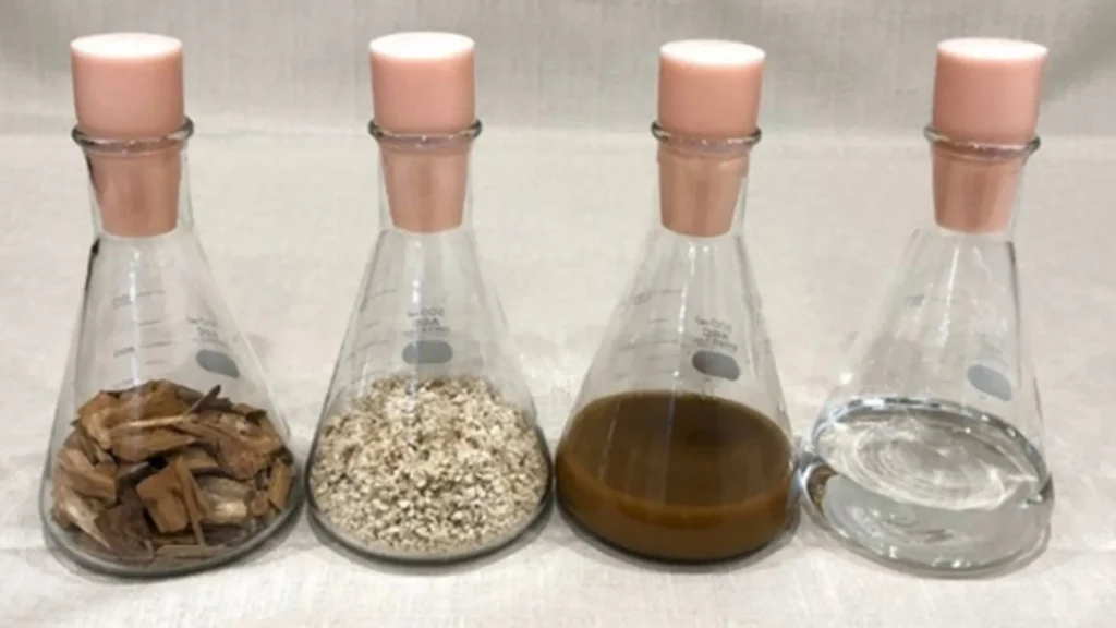 Astillas de madera, pulpa, líquido de cultivo de fermentación, bioetanol