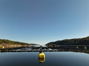 Nueva boya de tensión autoajustable para energía solar flotante en represas