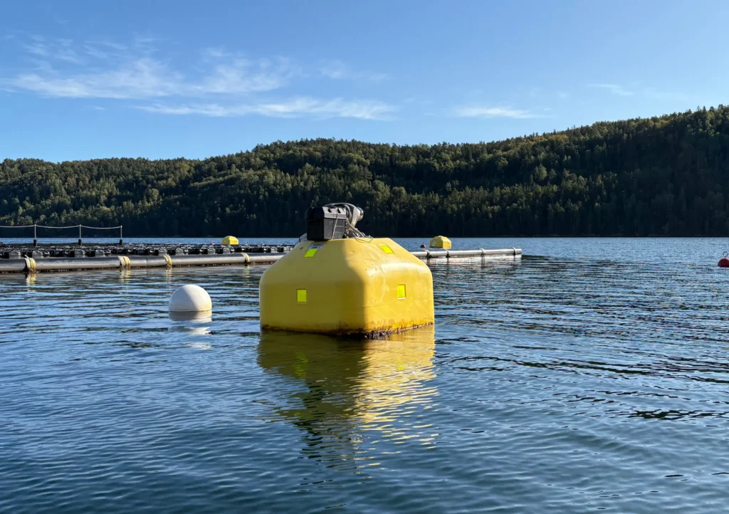 Boya de tensión de Fred. Olsen 1848