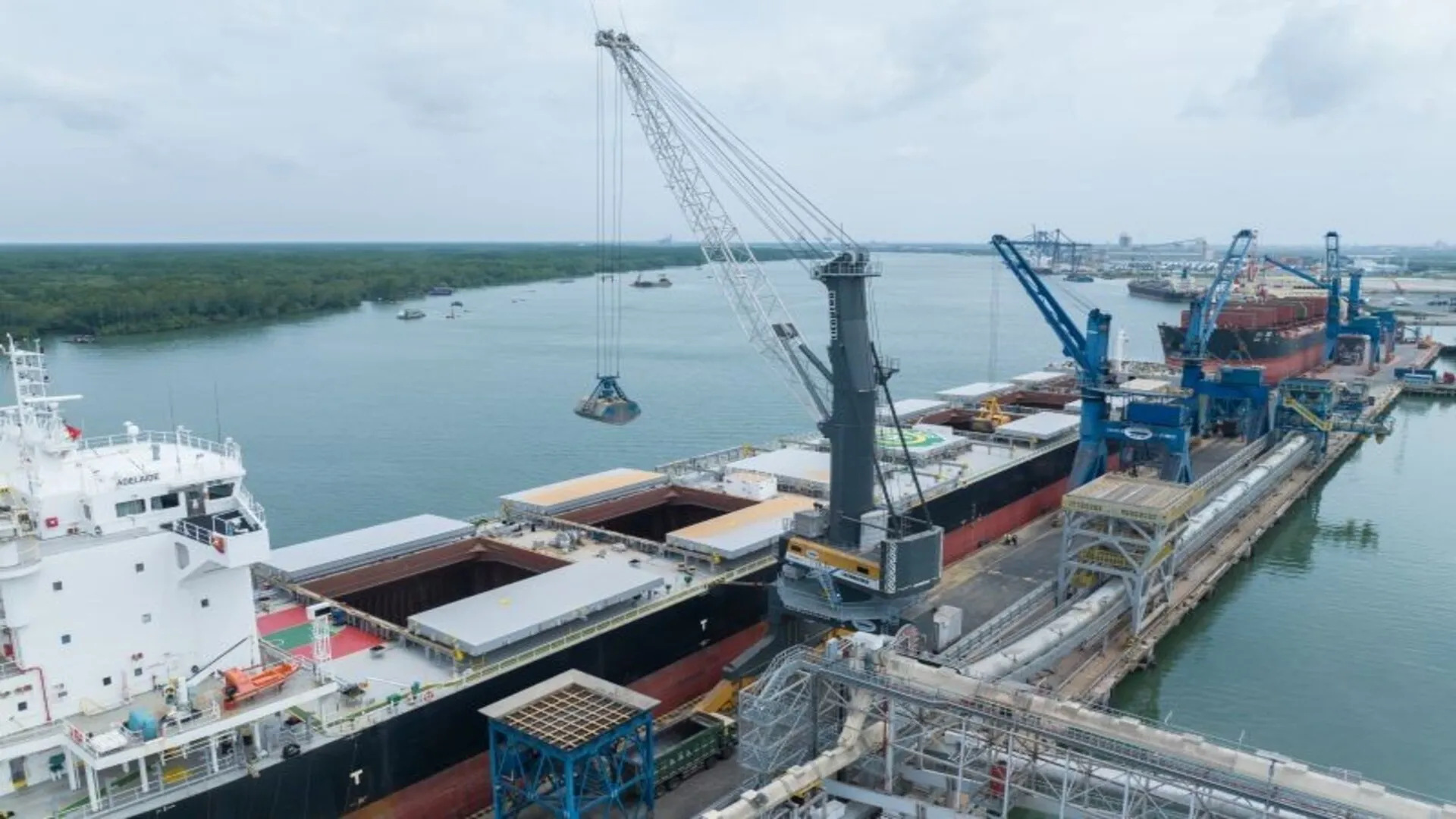 Grúa pórtico Liebherr operando en el puerto de Baria Serece, manipulando carga a granel desde un buque atracado en Phu My, Vietnam.
