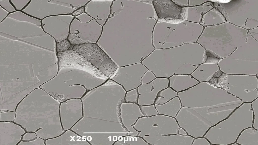Microscopic image (SEM) showing intergranular corrosion in 310 stainless steel.