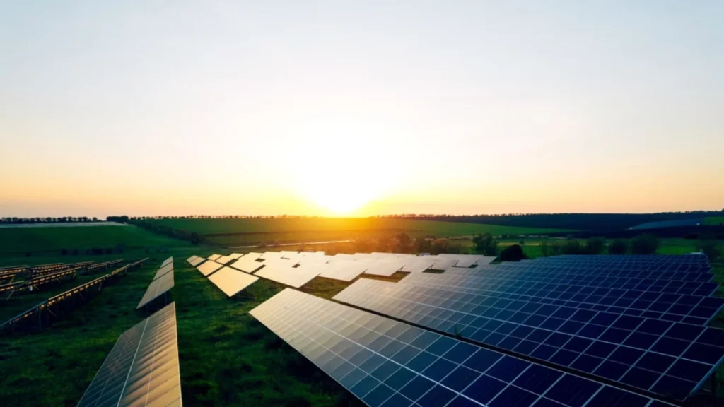 TotalEnergies proyectos solares en Asia con paneles solares al atardecer.